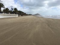 Norma Februar 2016   148